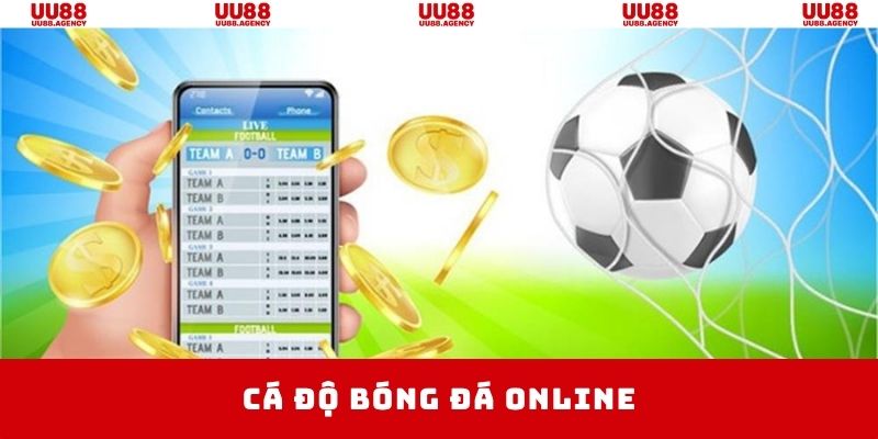 cá độ bóng đá online