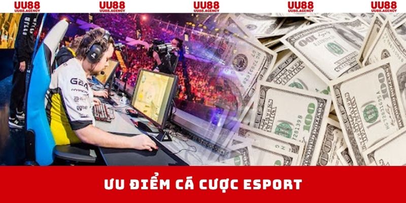 Sảnh cược sở hữu nhiều điểm mạnh đáng khen ngợi