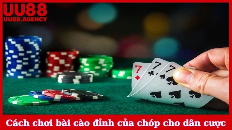 Cách chơi bài cào đỉnh của chóp cho dân cược